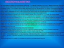 Оболочка клетки