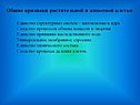 Общие признаки растительной и животной клетки Единство структурных