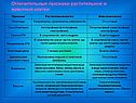 Отличительные признаки растительной и животной клетки