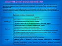Химический состав клетки