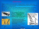 Микроскоп