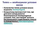 Тепло — необходимое условие жизни
