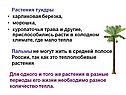 Растения тундры