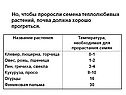 Почва должна хорошо прогреться