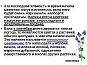 Последовательность и время начала цветения