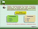 Растение – целостный организм
