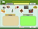 Распределите плоды на группы