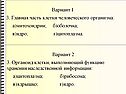 Главная часть клетки человеческого организма
