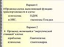 Органоид клетки, выполняющий функцию транспорта веществ