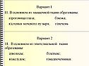 Роговица глаза