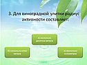 Радиус активности