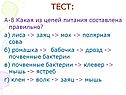 Тест: