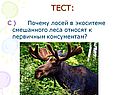 Тест: