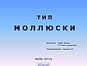 Т и п м о л л ю с к и