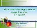 Тип Ресничные
