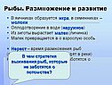Рыбы