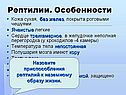 Рептилии