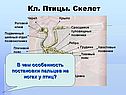 Кл