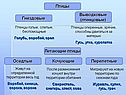 Птицы