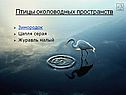 Птицы околоводных пространств