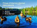 Птицы открытых водных пространств