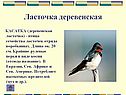 Ласточка деревенская