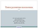 Типы развития насекомых