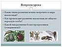 Какие типы развития можно встретить в мире насекомых