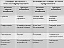 Развитие насекомых с полным превращением