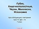 Губки, Кишечнополостные, Черви, Моллюски, Иглокожие