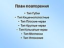 План повторения