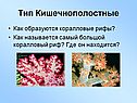 Тип Кишечнополостные