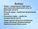 Выводы