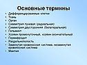 Основные термины