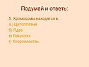 Хромосомы