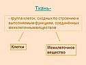 Ткань
