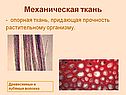 Механическая ткань