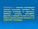 Углеводы – главные поставщики энергии организму человека