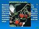 Углеводы 9 класс