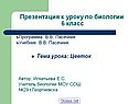 Презентация к уроку по биологии 6 класс