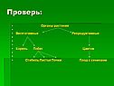 Проверь: