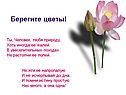 Берегите цветы