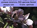 Для получения 1 кг