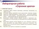 Лабораторная работа: «Строение цветка»