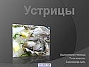 Устрицы