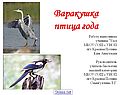 Варакушка птица года