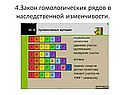 Закон гомологических рядов в наследственной изменчивости