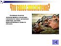 Что такое экосистема