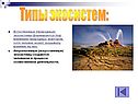 Типы экосистем:
