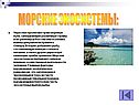 Морские экосистемы: